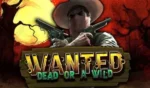 Wanted Dead or a Wild
